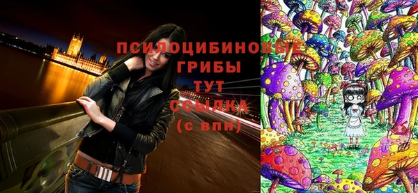 ПСИЛОЦИБИНОВЫЕ ГРИБЫ Осташков