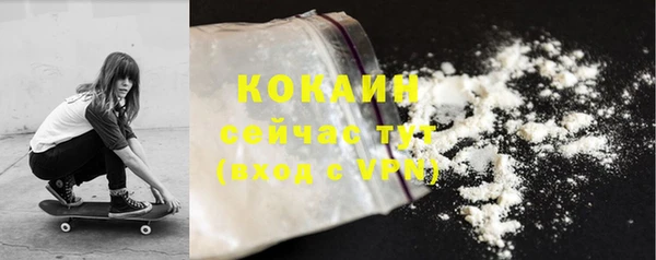 ПСИЛОЦИБИНОВЫЕ ГРИБЫ Осташков