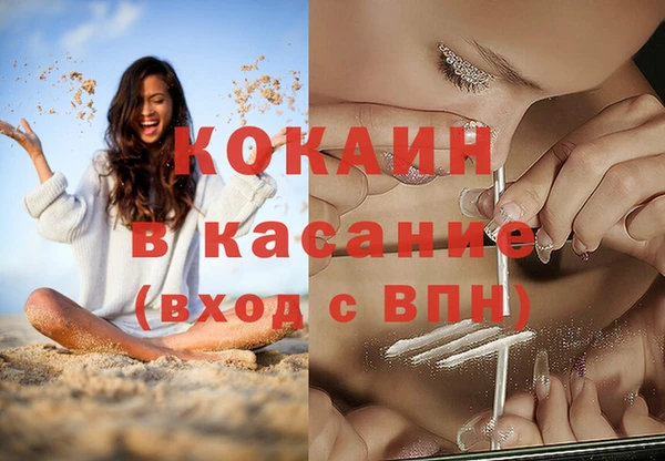 ПСИЛОЦИБИНОВЫЕ ГРИБЫ Осташков