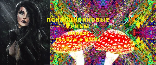 Альфа ПВП Осинники