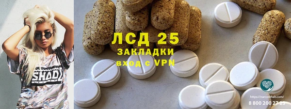 ПСИЛОЦИБИНОВЫЕ ГРИБЫ Осташков